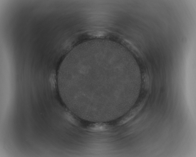 X0000111160612200908111155