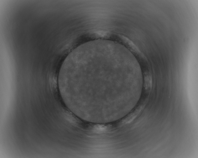 X0000111160613200908111155