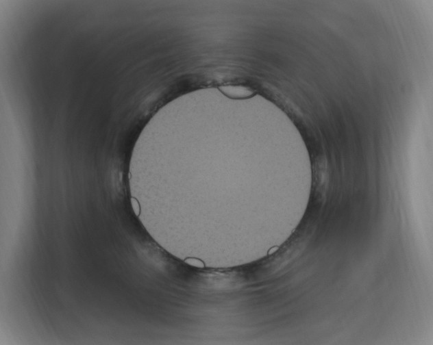X0000111160615200908111155