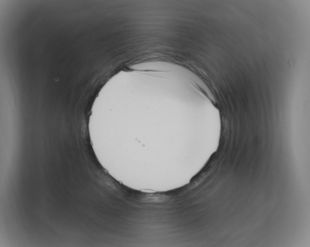 X0000111160617200908111155