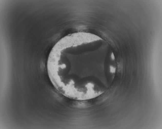 X0000111160618200908111155