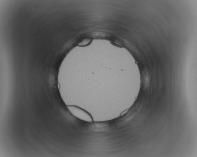 X0000111160619200908111155