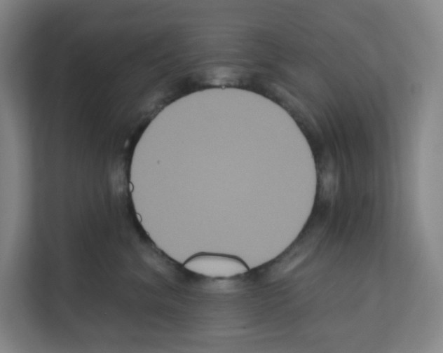 X0000111160620200908111155