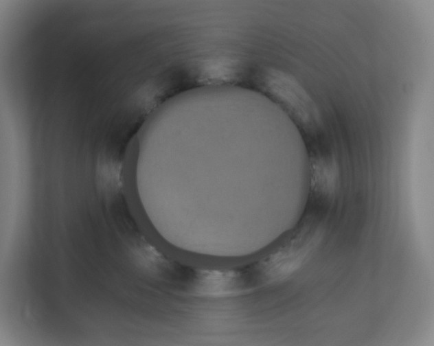 X0000111160621200908111155