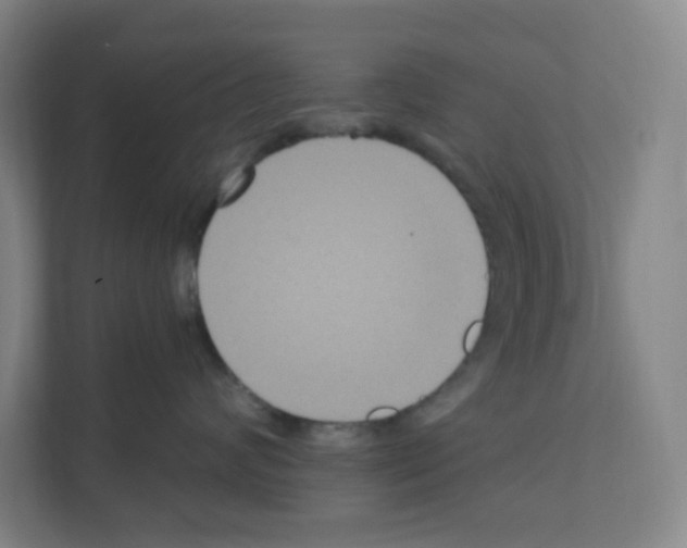 X0000111160624200908111155