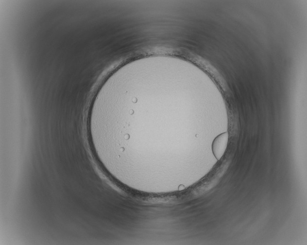 X0000111160625200908111154