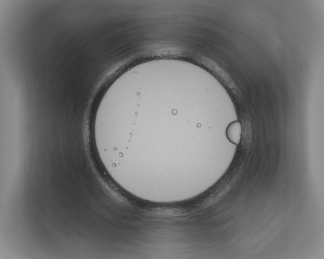 X0000111160629200908111154