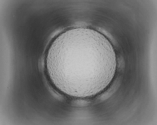 X0000111160632200908111154