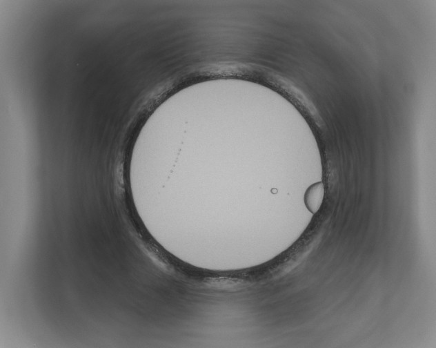 X0000111160633200908111154