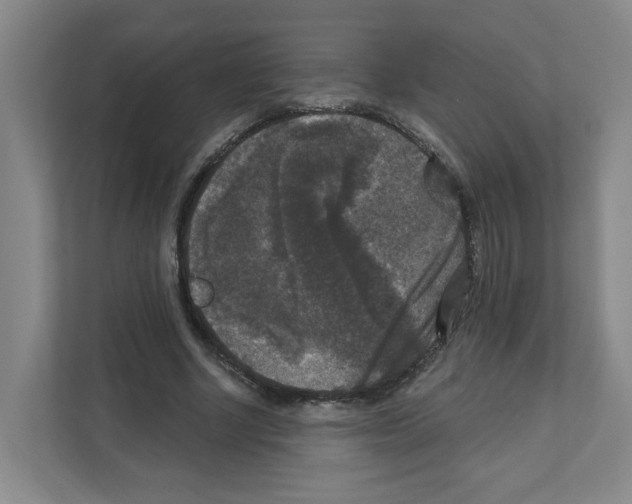 X0000111160634200908111154