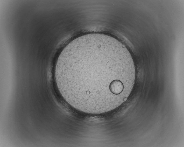 X0000111160635200908111154