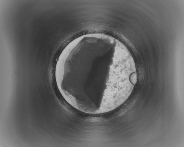 X0000111160637200908111154