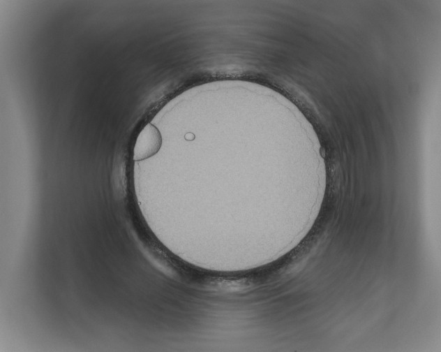 X0000111160638200908111154