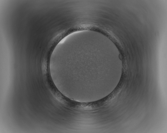 X0000111160640200908111154