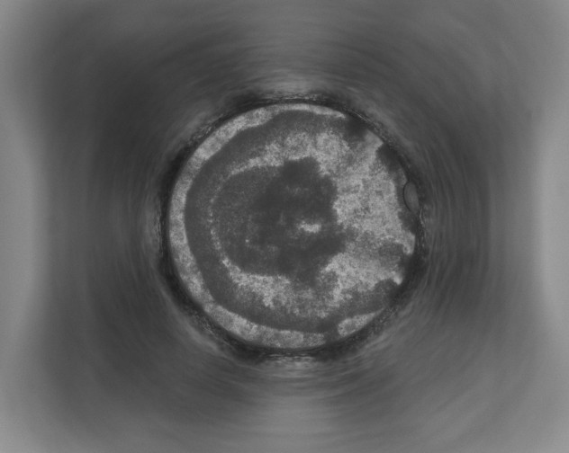 X0000111160642200908111155