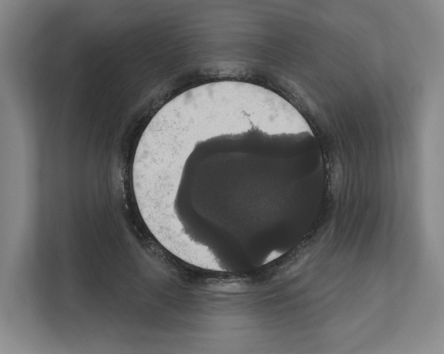 X0000111160643200908111155