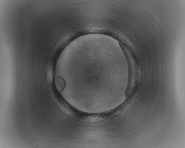 X0000111160644200908111155