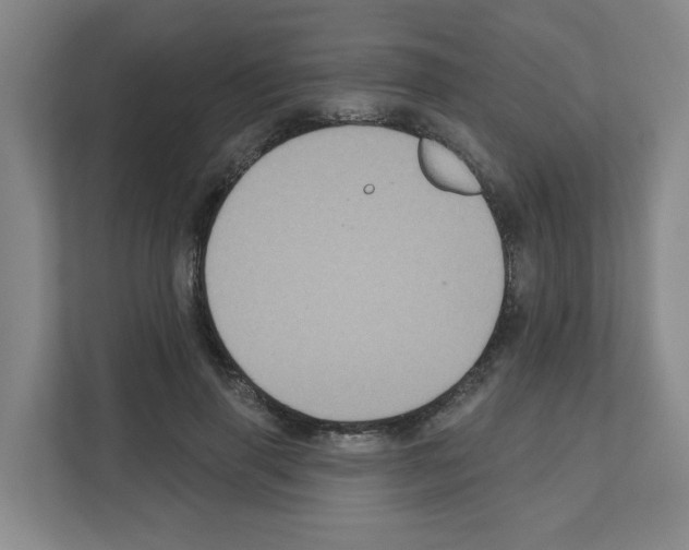 X0000111160645200908111155
