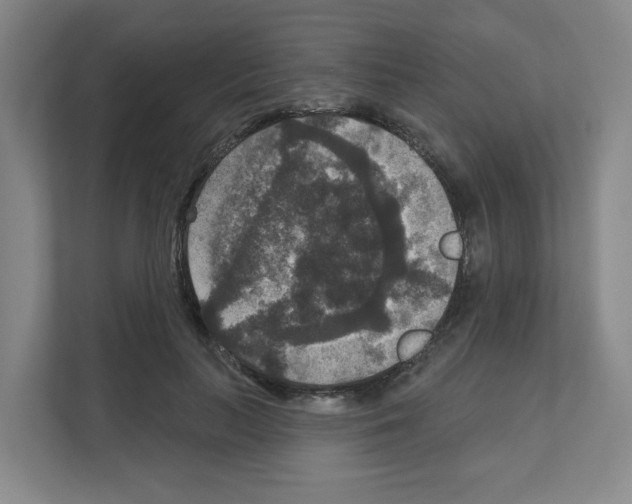 X0000111160647200908111155