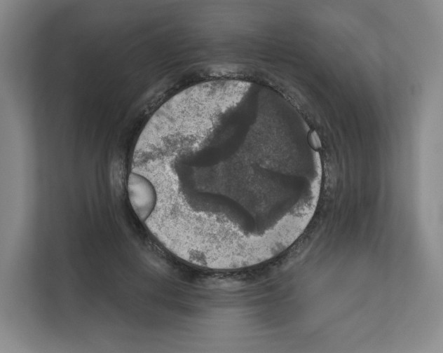 X0000111160648200908111155