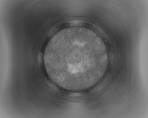 X0000111160649200908111155