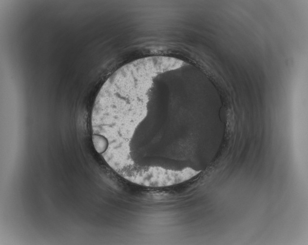 X0000111160650200908111155