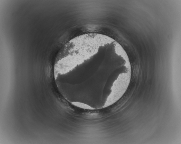 X0000111160651200908111155