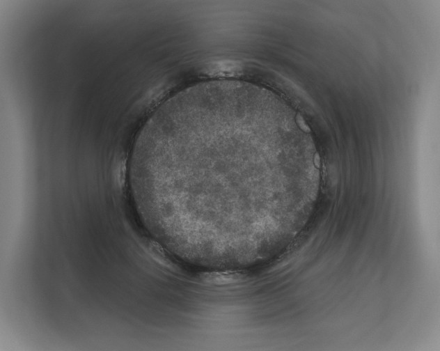 X0000111160652200908111155