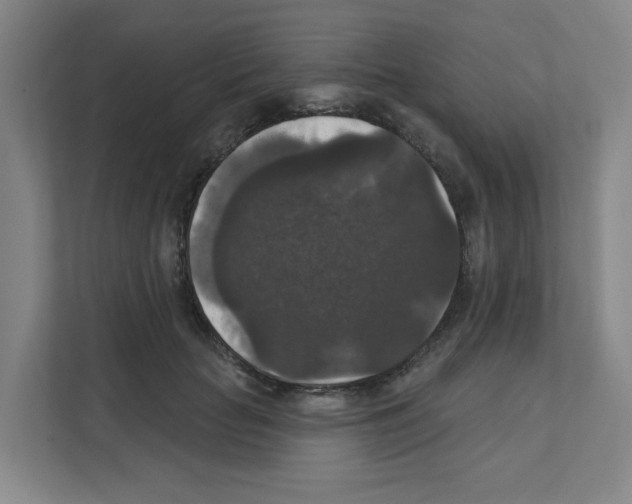 X0000111160653200908111155
