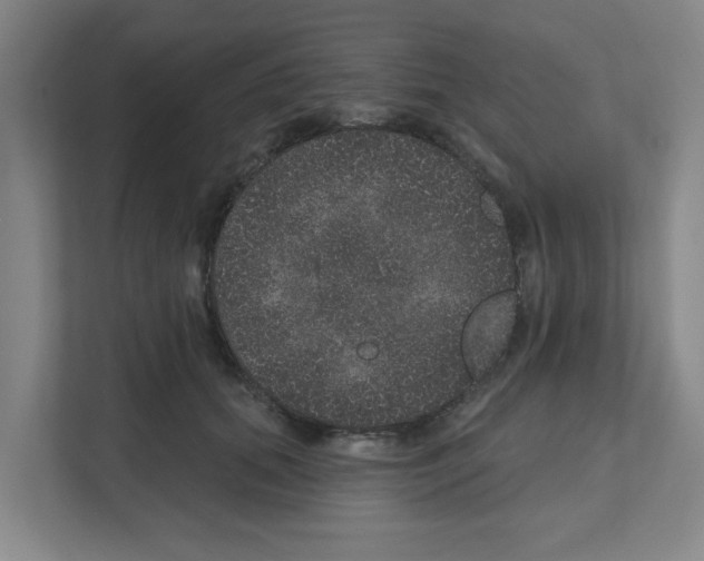 X0000111160655200908111155