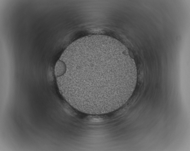X0000111160658200908111155