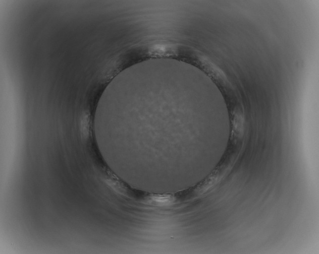 X0000111160659200908111155