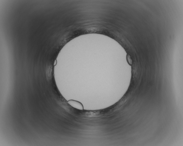 X0000111160660200908111155