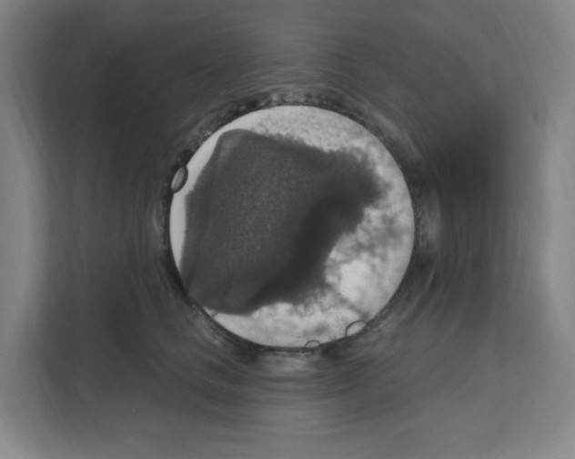X0000111160661200908111155