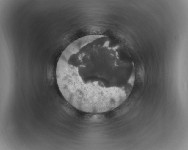 X0000111160663200908111155