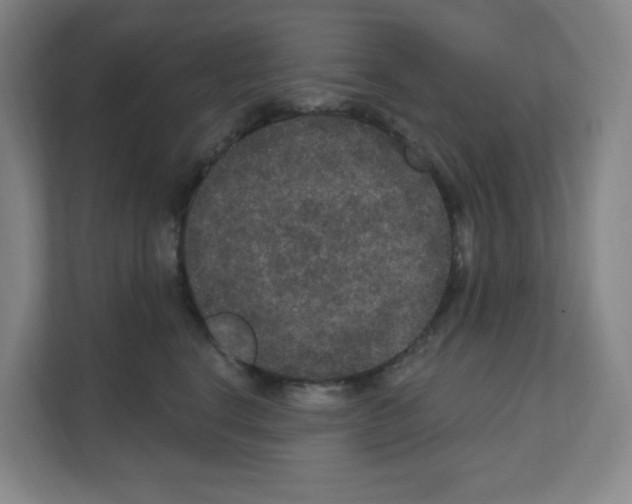 X0000111160664200908111155