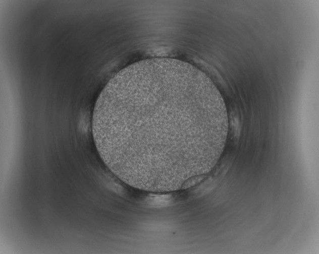 X0000111160665200908111155