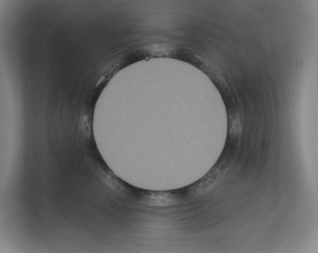 X0000111160666200908111155