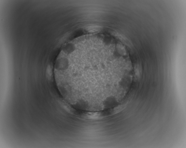 X0000111160667200908111155
