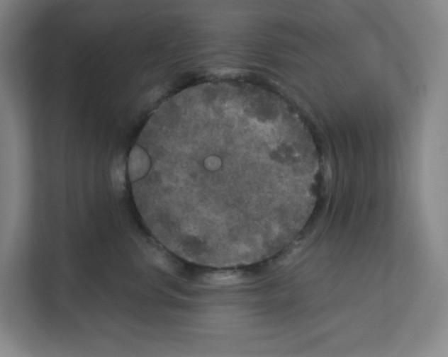 X0000111160668200908111155