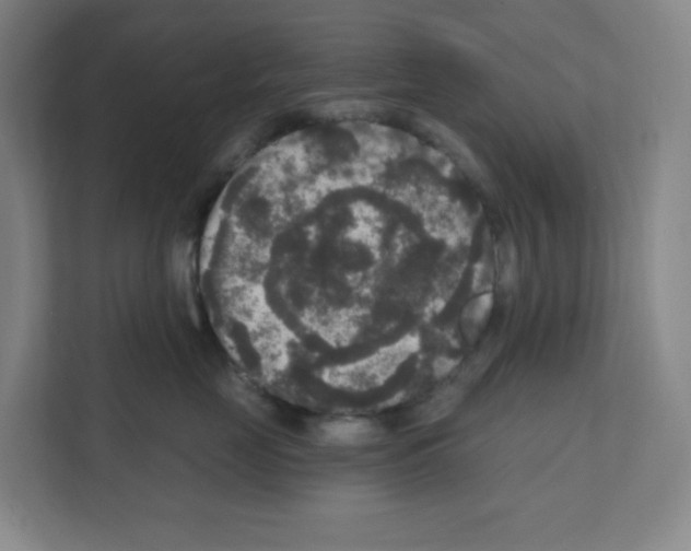X0000111160669200908111155