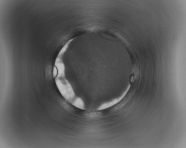 X0000111160670200908111155