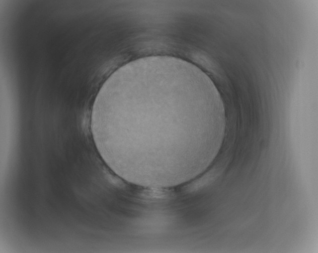 X0000111160672200908111155