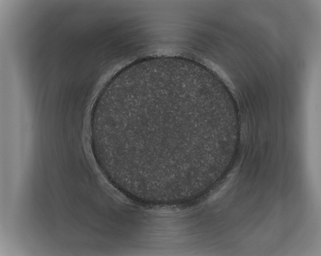 X0000111160673200908111154