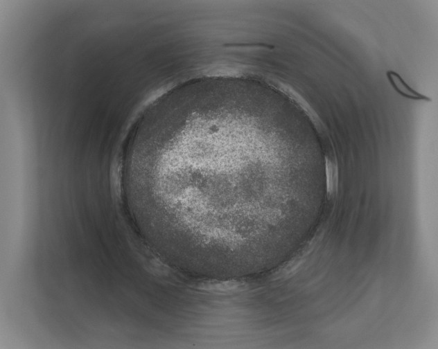 X0000111160675200908111154