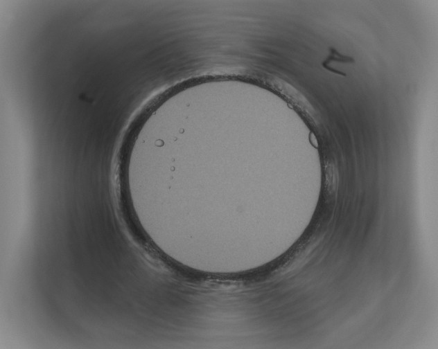 X0000111160676200908111154