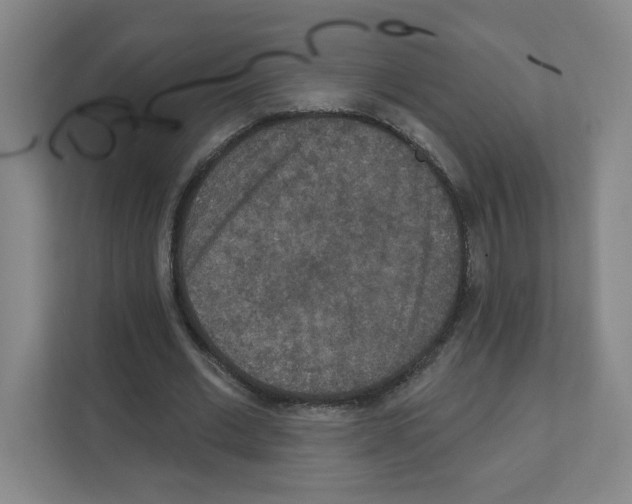 X0000111160677200908111154