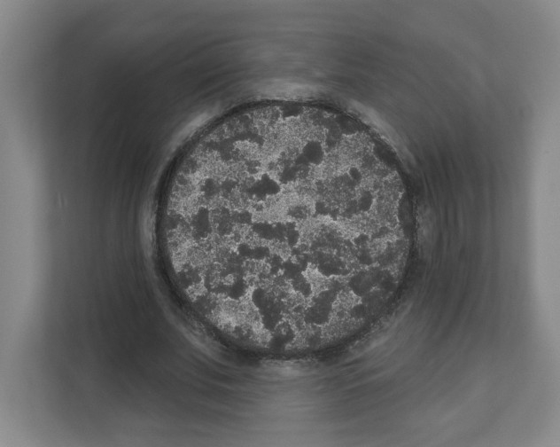 X0000111160679200908111154