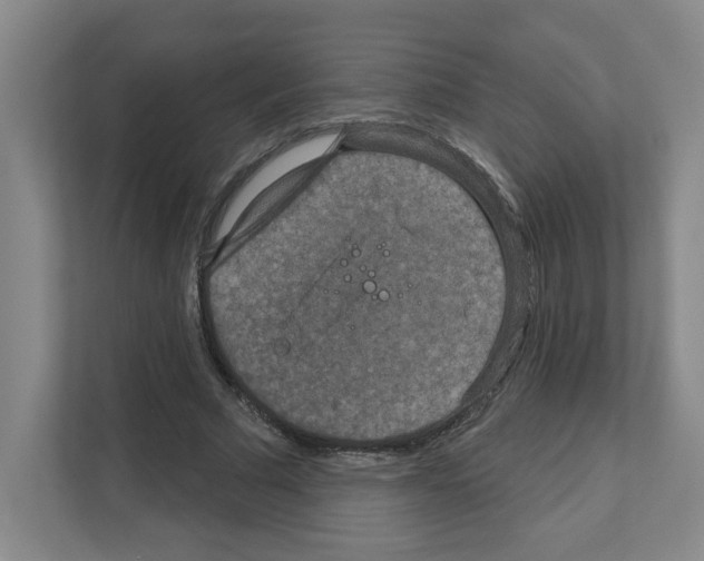 X0000111160681200908111154