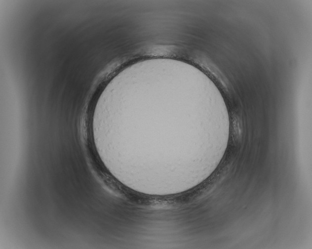 X0000111160682200908111154